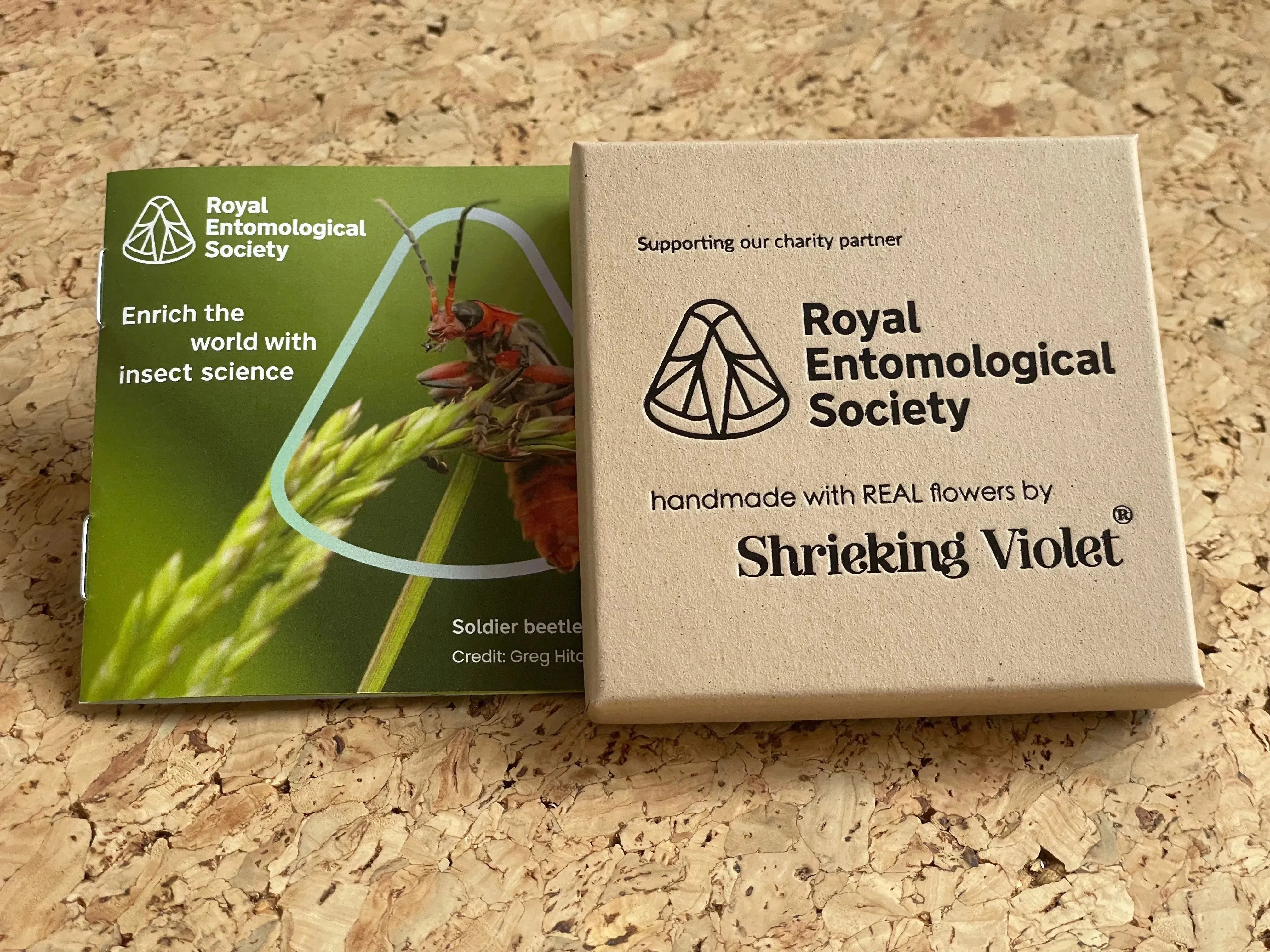 Mohn-Schmetterlings-Halskette von Shrieking Violet® Anhänger aus Sterlingsilber, handgefertigt mit echten Euphorbia-milii-Blüten. Schmuckgeschenk für Schmetterlingsliebhaber