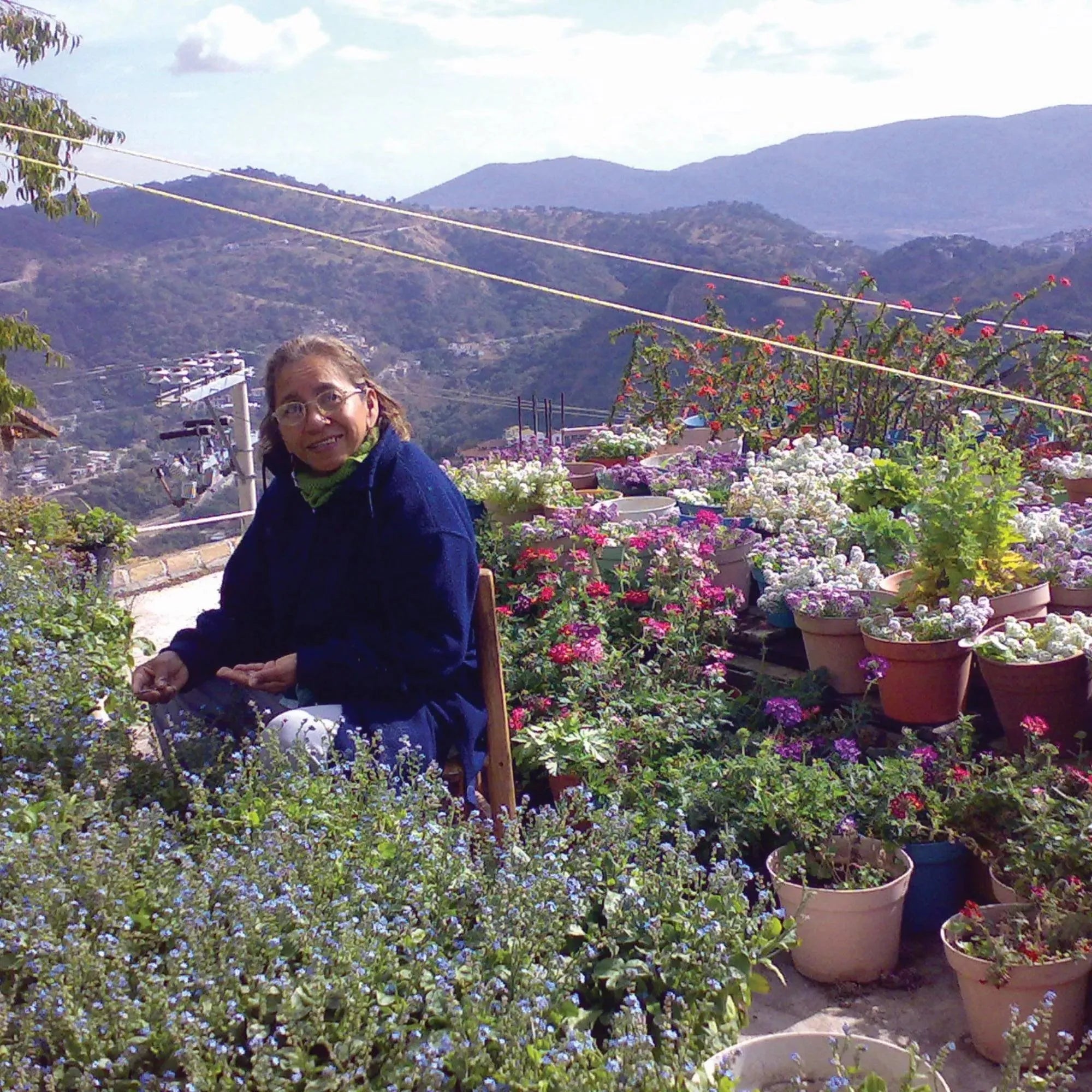 Lila Blumen-Tropfenohrringe aus Sterlingsilber – Handgefertigt mit echten Blumen