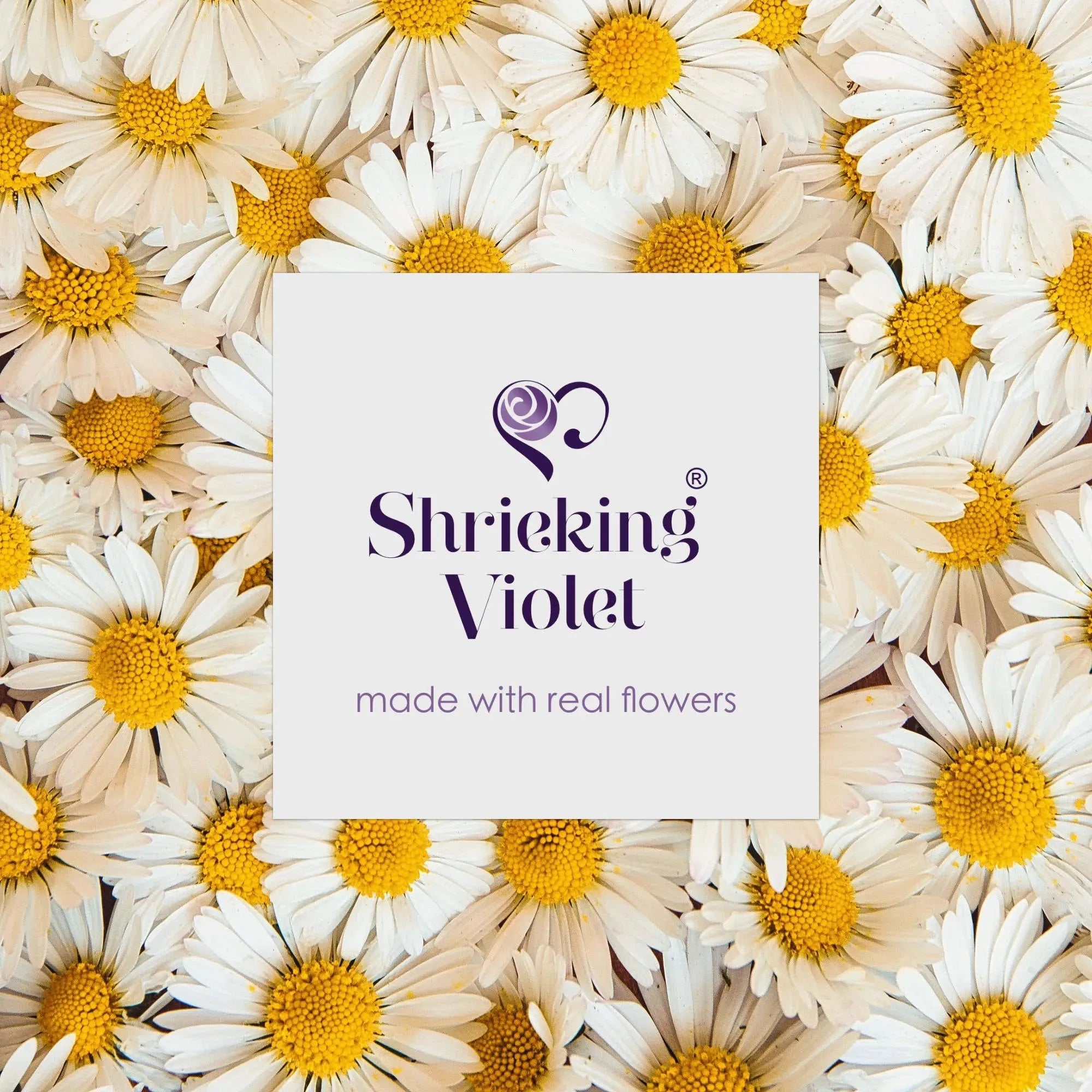 Daisy Earrings with Sterling Silver Surround. Handmade by Shrieking Violet®