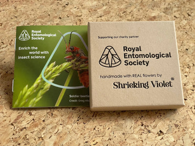 Vergissmeinnicht-Schmetterlings-Anhänger-Halskette aus Sterlingsilber – echter Blumen-Anhänger