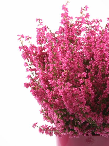 中号泪滴石南花纯银项链 - 手工制作的花卉优雅
