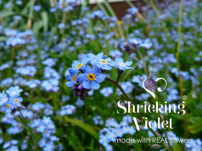 Flower ring by Shrieking Violet® Sterling silver adjustable size ring with rose, forget-me not real flowers. Ideal fashion gift for her