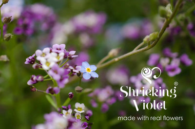 Flower ring by Shrieking Violet® Sterling silver adjustable size ring with rose, forget-me not real flowers. Ideal fashion gift for her