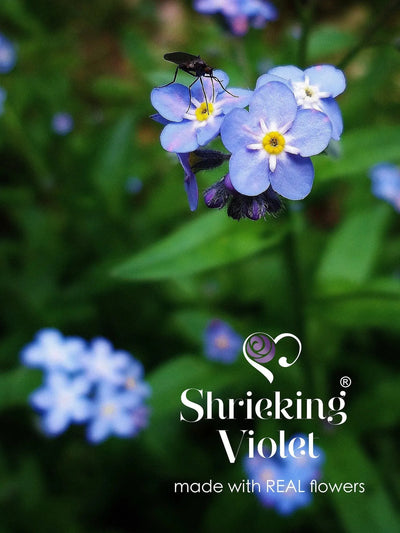 Forget-me-not necklace by Shrieking Violet® Sterling silver heart charm pendant with real forget-me-nots & a cultured pearl. Ideal for Mothers day.